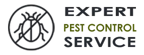 Pro Exterminator Company Miami FL